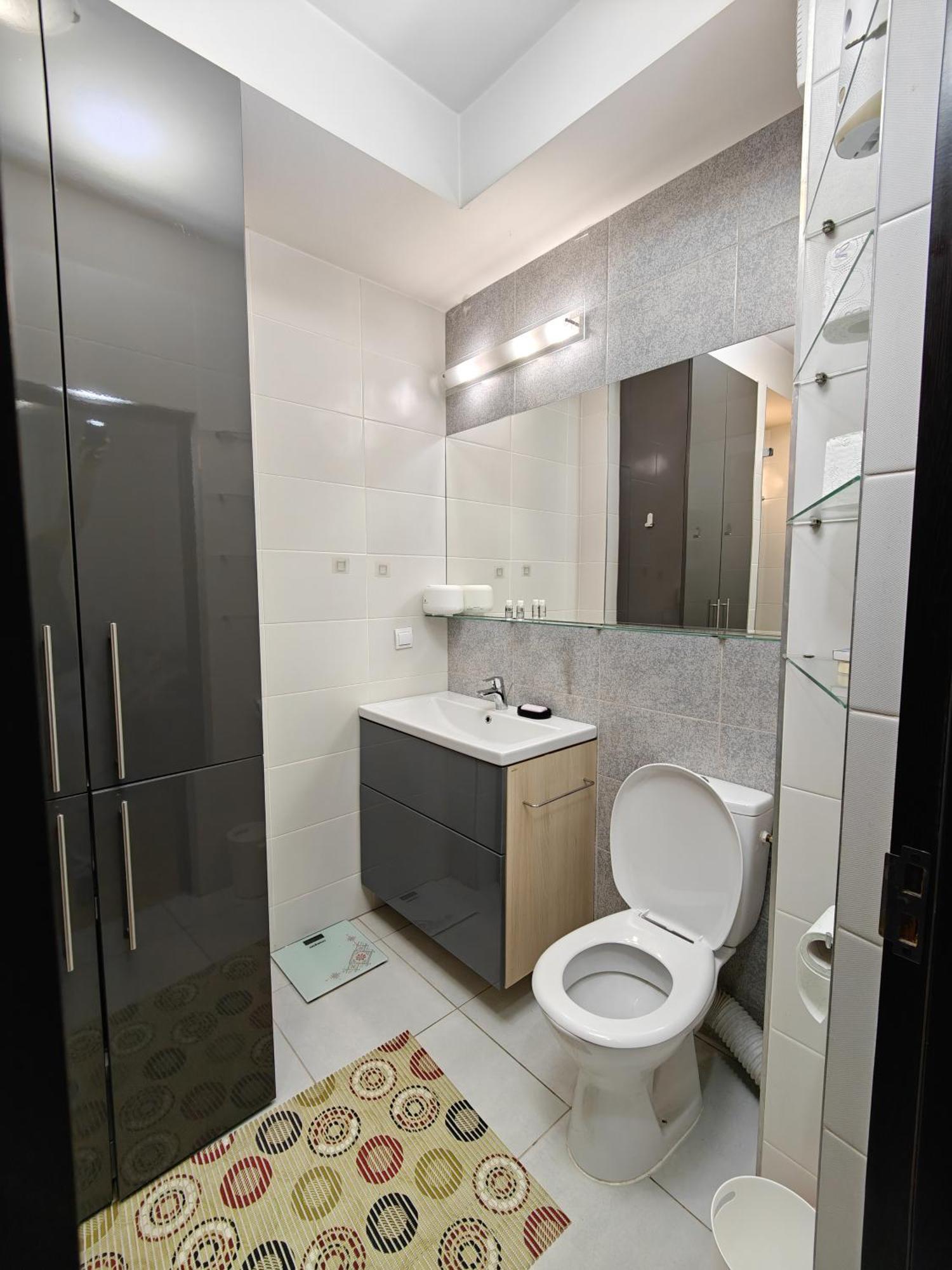 Park Lake Near Iulius Mall, Wi-Fi, Walk-In Showe คลูจ-นาโปกา ภายนอก รูปภาพ